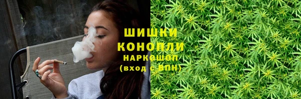 спиды Пыталово