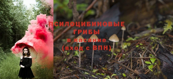 ECSTASY Нязепетровск