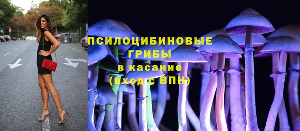 кокс Няндома