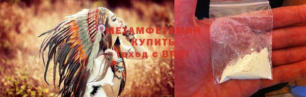 ПСИЛОЦИБИНОВЫЕ ГРИБЫ Осинники