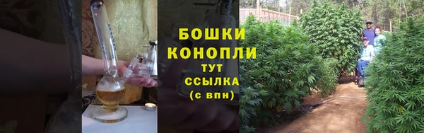 ECSTASY Нязепетровск