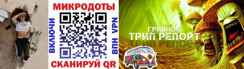 Галлюциногенные грибы MAGIC MUSHROOMS  где можно купить   Россошь 