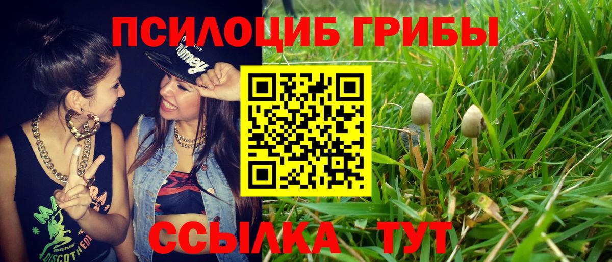 Галлюциногенные грибы мицелий Россошь