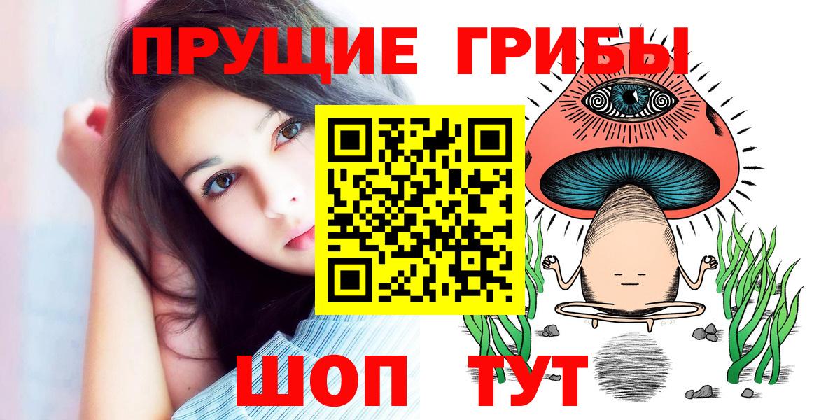 Псилоцибиновые грибы мицелий Россошь