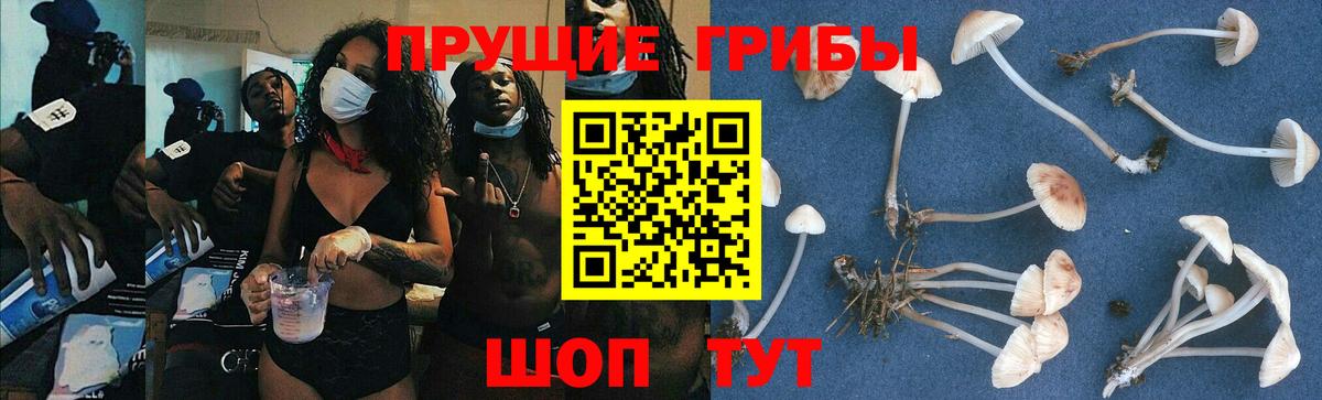 Псилоцибиновые грибы мицелий  Россошь 