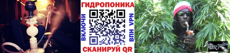 сайты даркнета как зайти  Россошь  Марихуана тримм  сколько стоит 